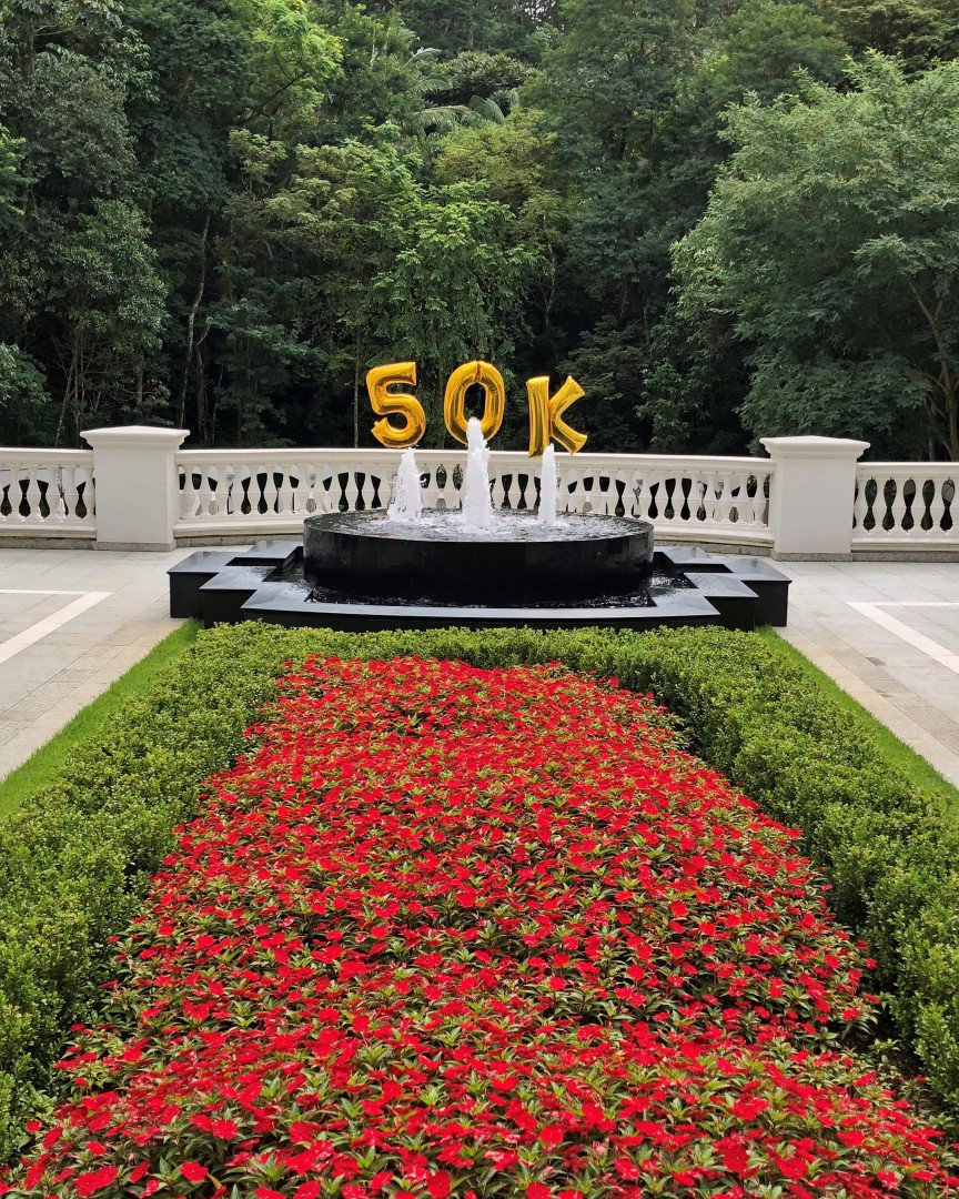 Hoje é um dia especial: comemoramos mais de 50 mil seguidores em menos de 1 ano ... instagram.com/p/BhH9c4_j3vb