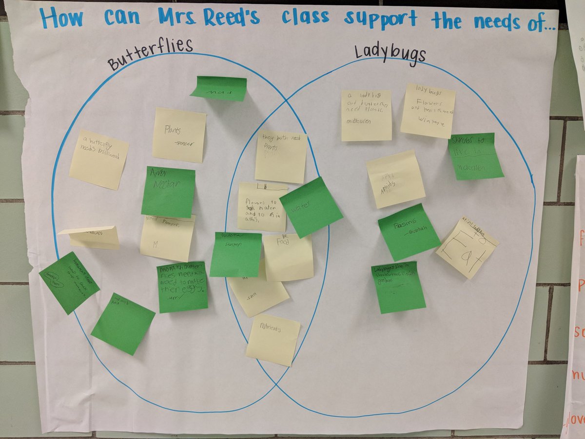 Katie Kaminsky tweet media