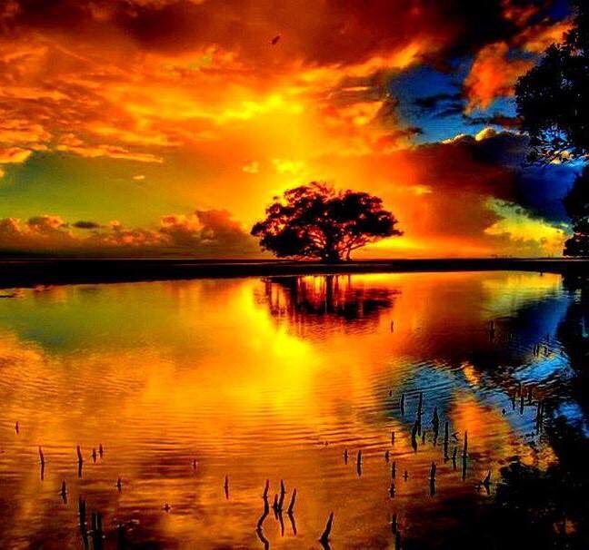 Marce Coria (@marce63017568) on Twitter photo 