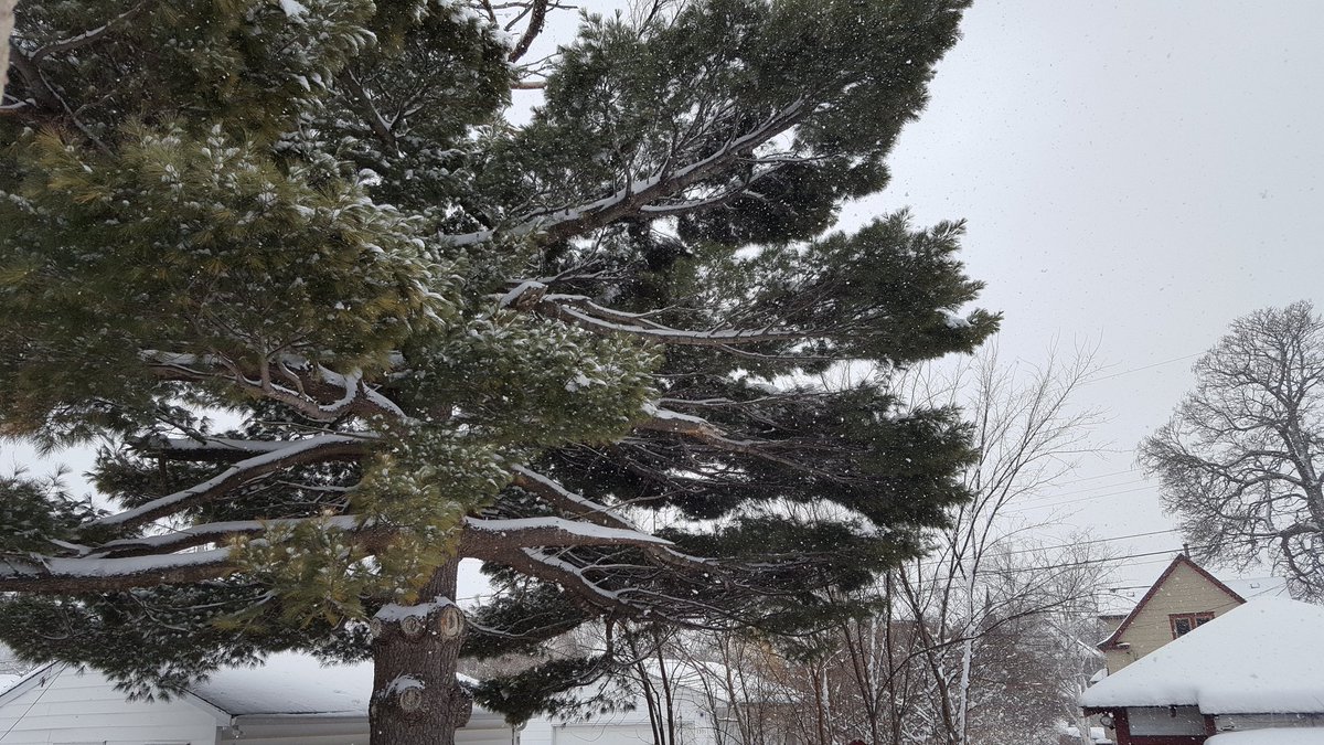 suzetrup's tweet photo. Know some of U will say this is pretty, but this rough #wintergoaway #6monthsofwinter https://t.co/M3xEPlEqoY