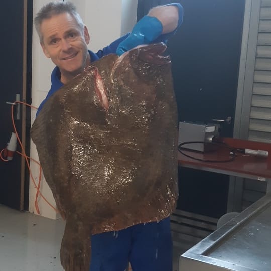 jacco de haan tweet media