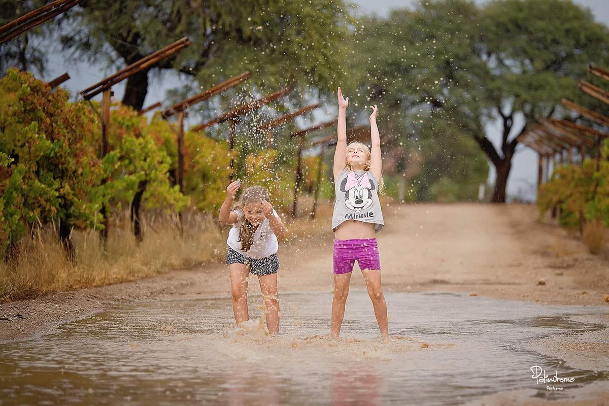 ReenvalSA's tweet photo. So maak Kalahari-kinders in die reรซn. #Raaswater sowat 20km buite #Upington vanmiddag Anena Burger #rain @SAWeatherServic @venter_annette @eNCAWeather @AfricaWeather_ @dieCourant @TeamNews24 @AgriSAOfficial @landbou @weathertodaysa @huisgenoot @JoelGuy_ https://t.co/3HAqmpNe7D