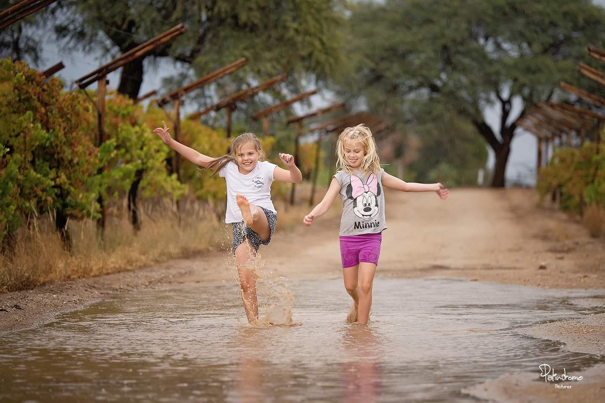 ReenvalSA's tweet photo. So maak Kalahari-kinders in die reรซn. #Raaswater sowat 20km buite #Upington vanmiddag Anena Burger #rain @SAWeatherServic @venter_annette @eNCAWeather @AfricaWeather_ @dieCourant @TeamNews24 @AgriSAOfficial @landbou @weathertodaysa @huisgenoot @JoelGuy_ https://t.co/3HAqmpNe7D