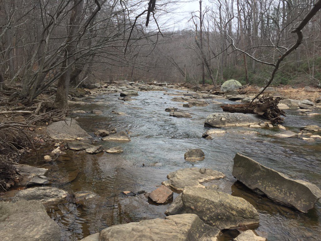 A brief visit to the Difficult Run Trail in Great Falls Park following a discussion on connectivity... #phtnetwork