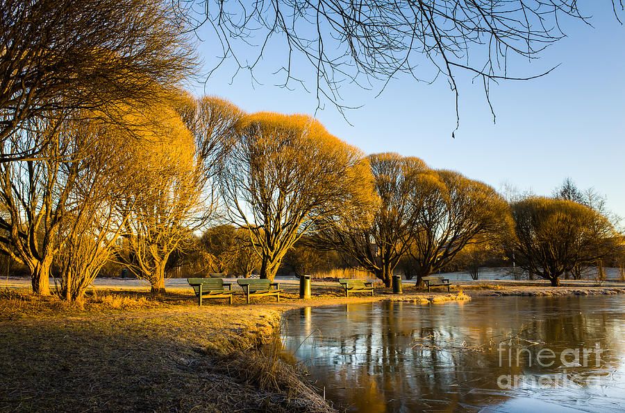 BelindaGreb's tweet photo. Spring Morning In The Park by Ismo Raisanen @IsmoRaisanen https://t.co/TF7rAftSO8 https://t.co/kzOLQ4KPYf