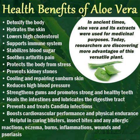 Natural remedies tweet media