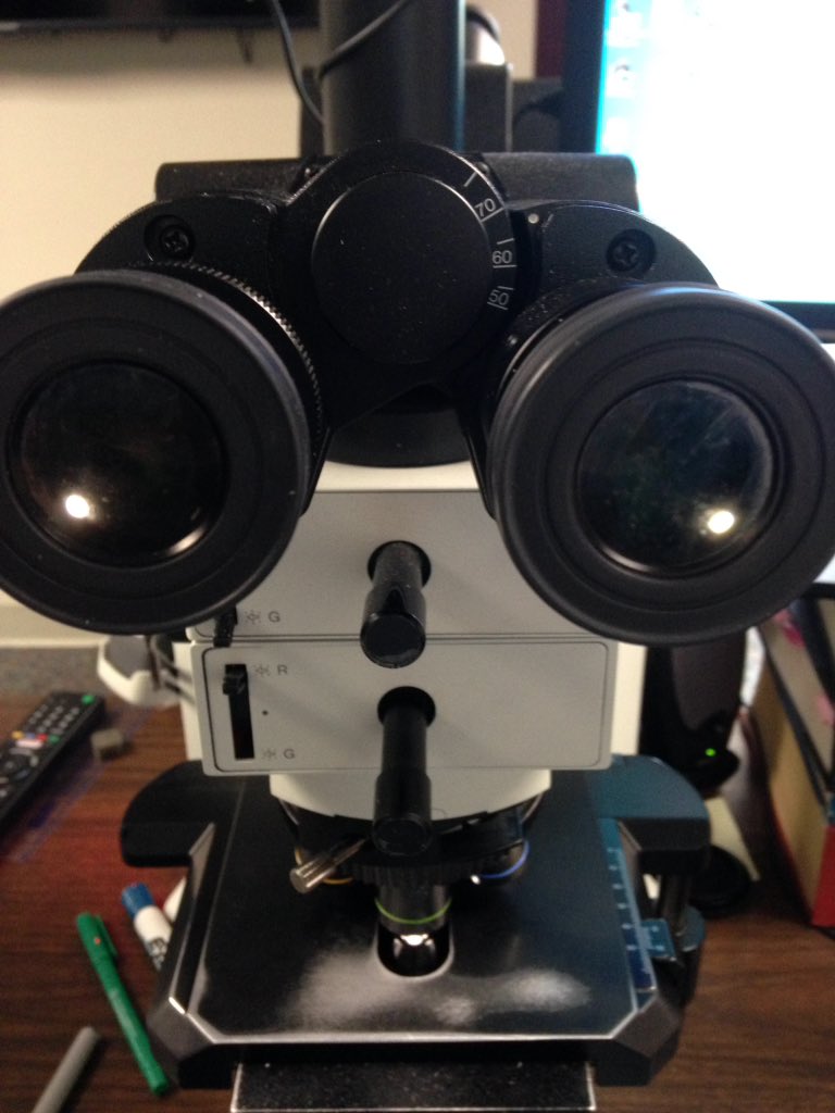 Edward Fulton, MD (@ehfultonmd) on Twitter photo Microscope life hack (if you have two focusing eyepieces): focus on 40X with your fine focus knob, then go to 10X and focus with eye pieces. Nearly parfocal in 5 seconds! #Dermpath #pathology <a href="/JMGardnerMD/">Jerad Gardner, MD</a> Microscope life hack (if you have two focusing eyepieces): focus on 40X with your fine focus knob, then go to 10X and focus with eye pieces. Nearly parfocal in 5 seconds! #Dermpath #pathology <a href="/JMGardnerMD/">Jerad Gardner, MD</a>