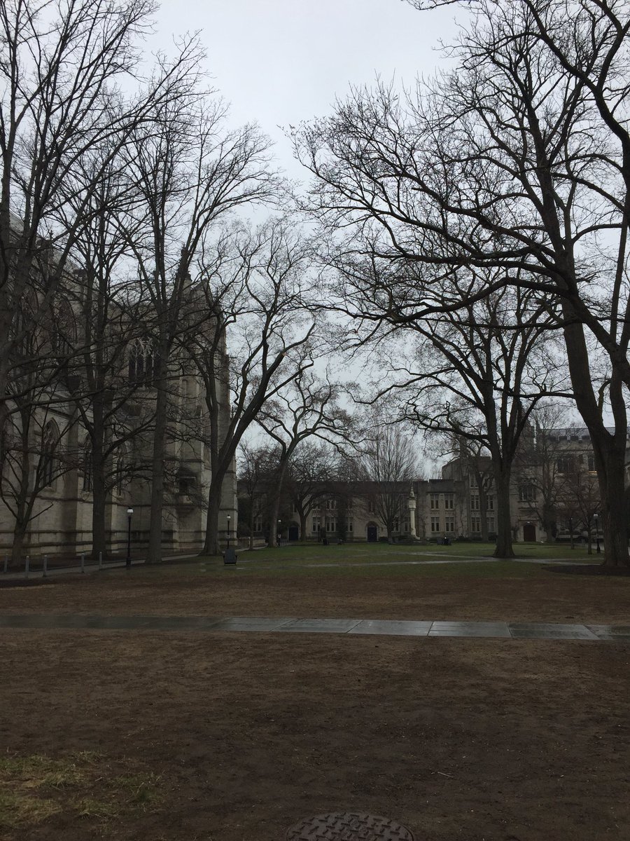 Ellie Hulit tweet media