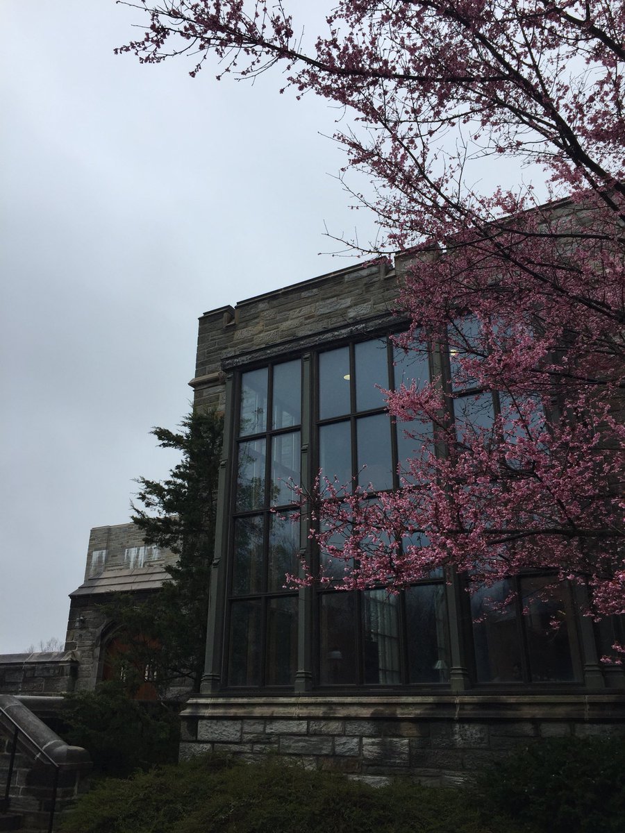 Ellie Hulit tweet media