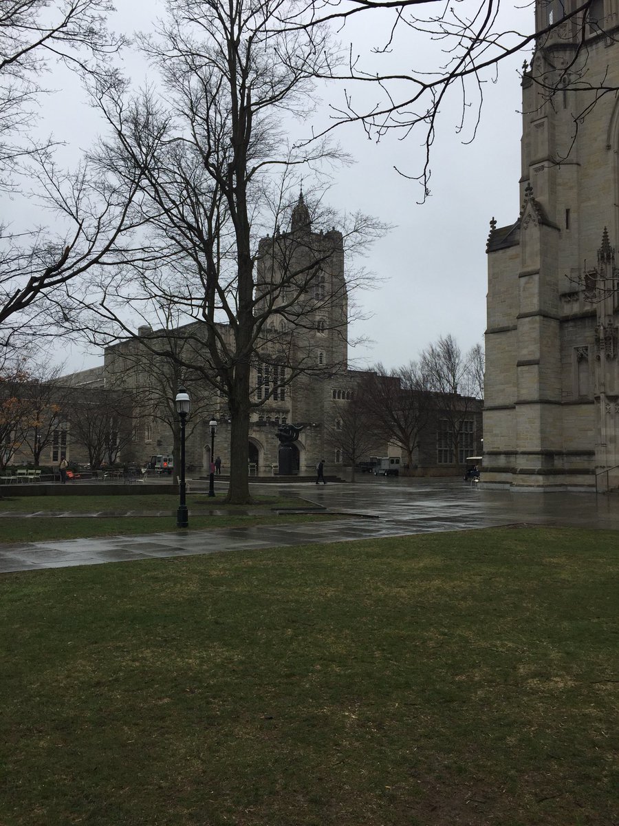 Ellie Hulit tweet media