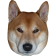 RionofBahamut's tweet photo. Twitch emotes have been approved! You too can show my doge's disapproval of dumb things! #dragonsgetit #SupportSmallStreamers https://t.co/VUfRbfbPop