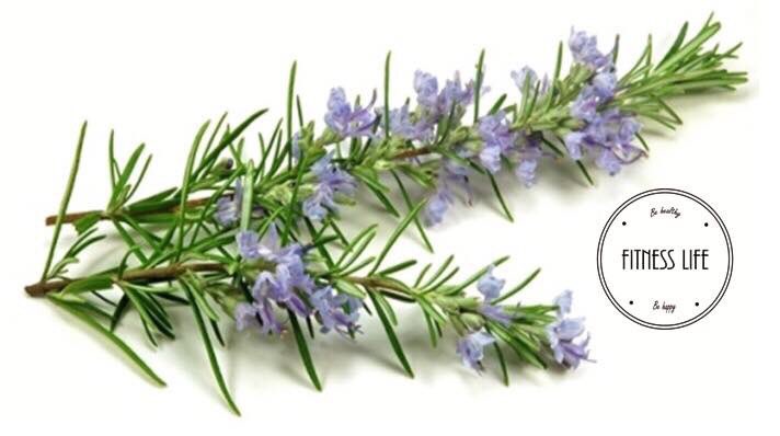 FitnessLifeOff's tweet photo. 🌿Romero🌿

🌸Elimina los gases, los dolores de menstruación, de cabeza, musculares y huesos.
🌸Oxigena el cerebro y mejora la memoria.
🌸Desinflama los pies, reduce la ansiedad, el nerviosismo y la intoxicación.
🌸Trata los problemas respiratorios, mejora el apetito y la anemia. https://t.co/19jREbVtPa