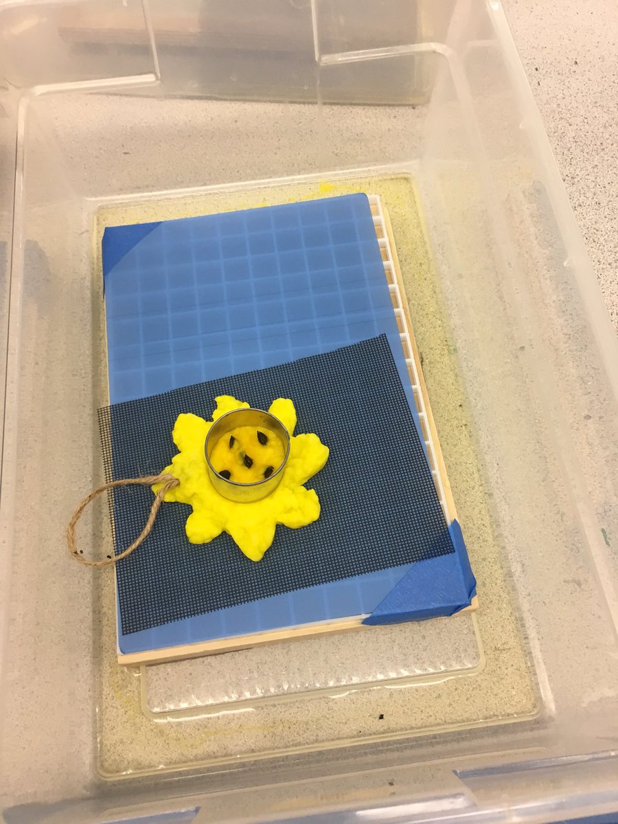 Mrsmkleman's tweet photo. And now...paper making with the Compost Club! @AltonDarby #ADEHappy https://t.co/fO2iGhZarV