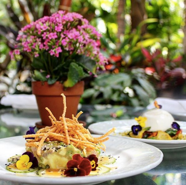 FairchildGrove's tweet photo. Dining al fresco at Peacock Garden is a feast for all your senses. #CoconutGrove https://t.co/I7AOwMAamq