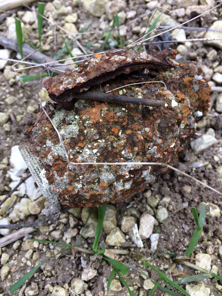 AlisterPike1's tweet photo. British WW1 grenade discovered at Mametz Wood on the Somme today #ironharvest #Somme @sommecourt @jbanningww1 @flanders1914 @ https://t.co/5jBShYSqZe