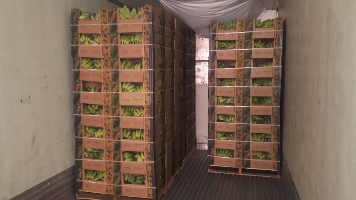 maproducemx's tweet image. In the process of loading #Thai #Banana #Tropical #Fruits #Premium