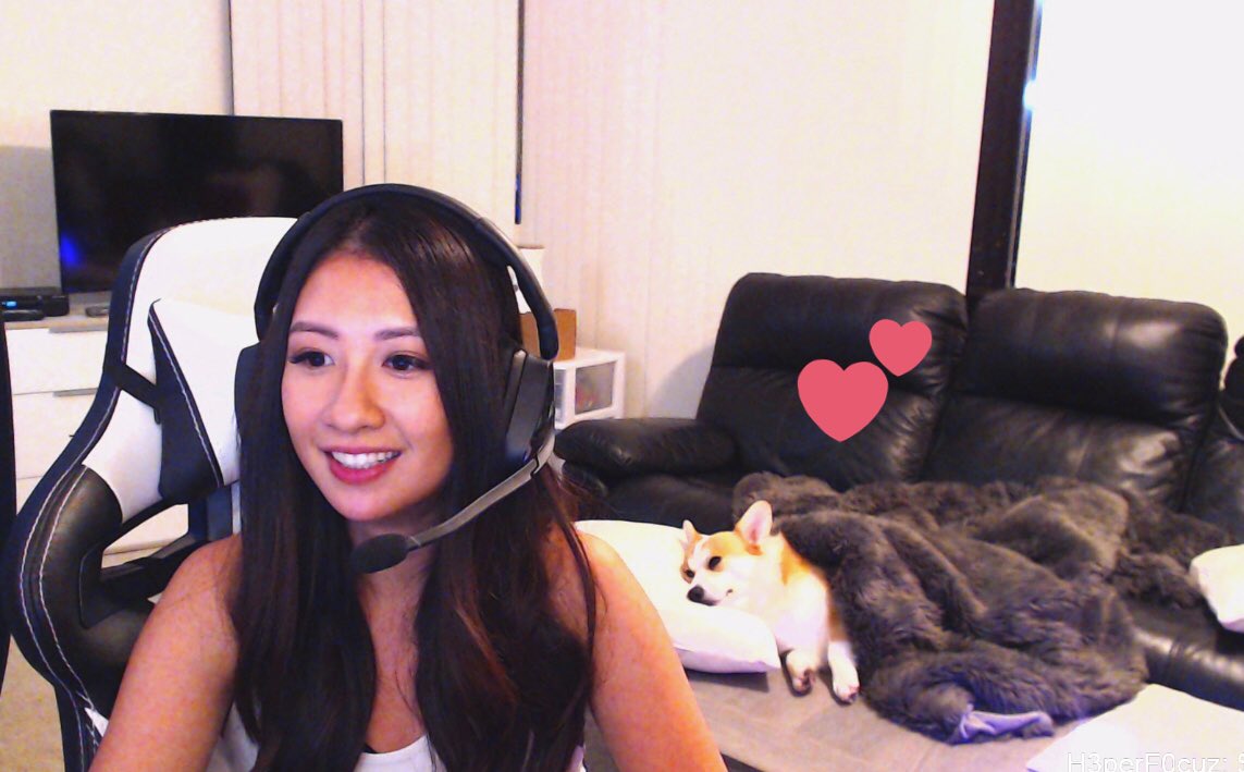 BojoJen_'s tweet image. That one time the stream helped me tuck Bojo in 🤣😴 #sleepydoggo