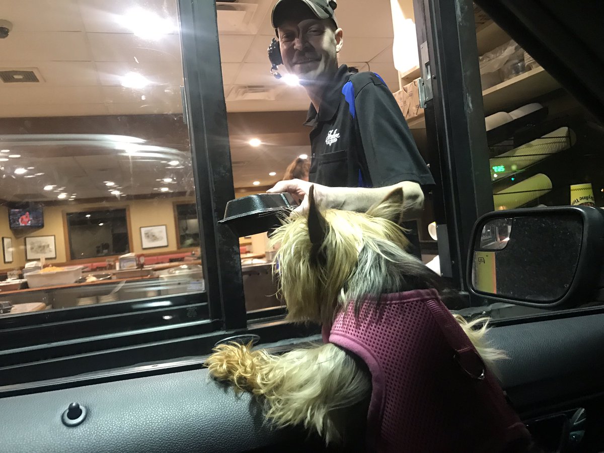 ReedTimmerUSA's tweet photo. Gizmo scored a hot dog after the storm chase at @Skyline_Chili https://t.co/jCKwYhCpFl