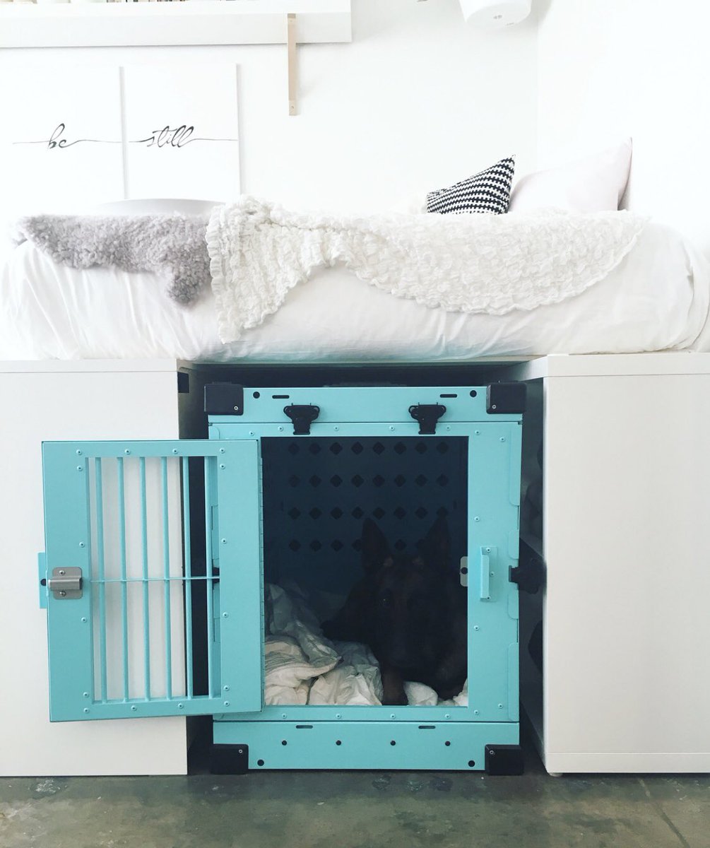 impact dog crate canada