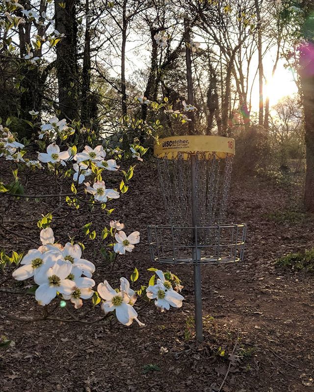 Stuart Neal tweet media