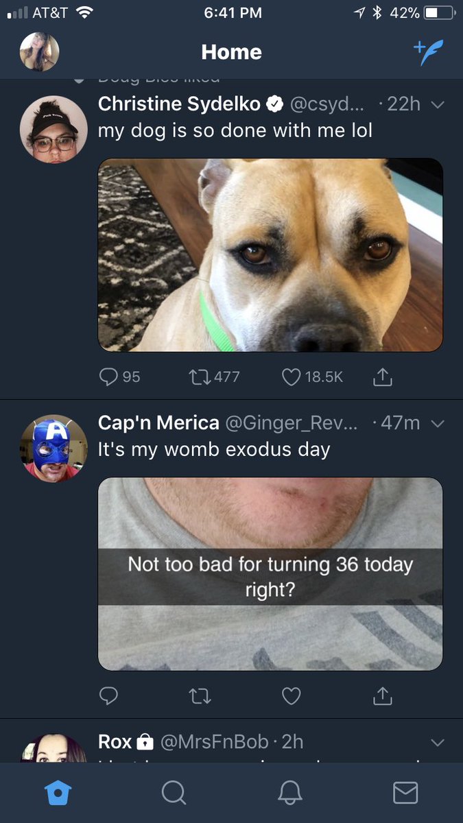 Togglelogl_babe's tweet photo. @Ginger_Reverend From my feed it looks like your evolution into dog-man is  progressing well:) . Happy 36th year! https://t.co/2erYm38t3l