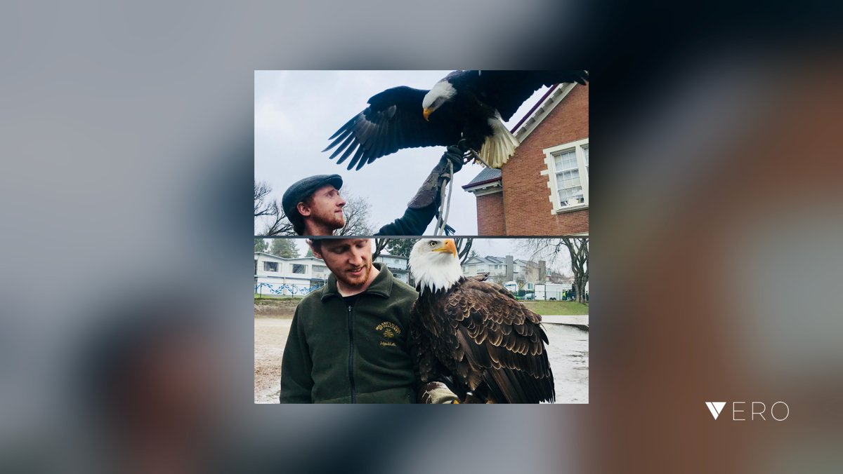 David Gattey tweet media