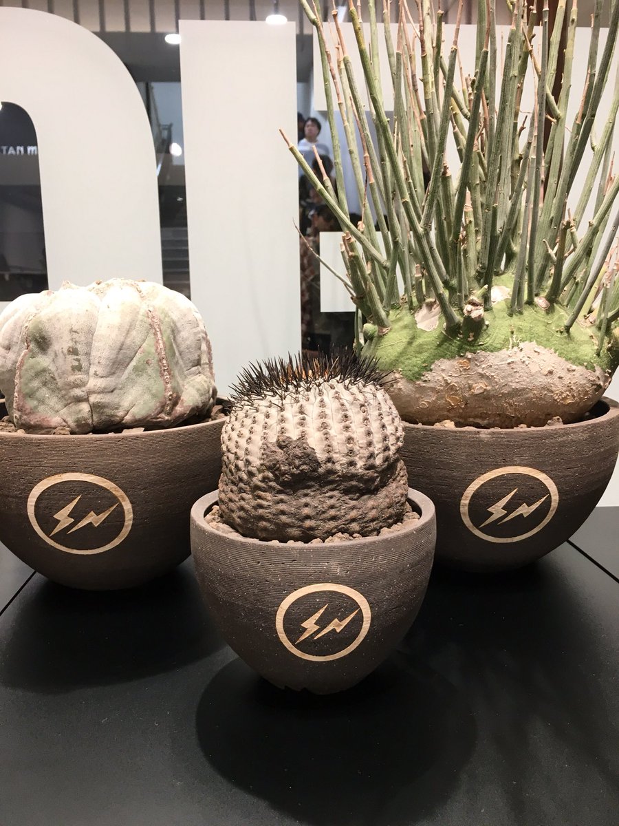 konect インビジブルインク ネイバーフッド 鉢 dragon tail NowHere on