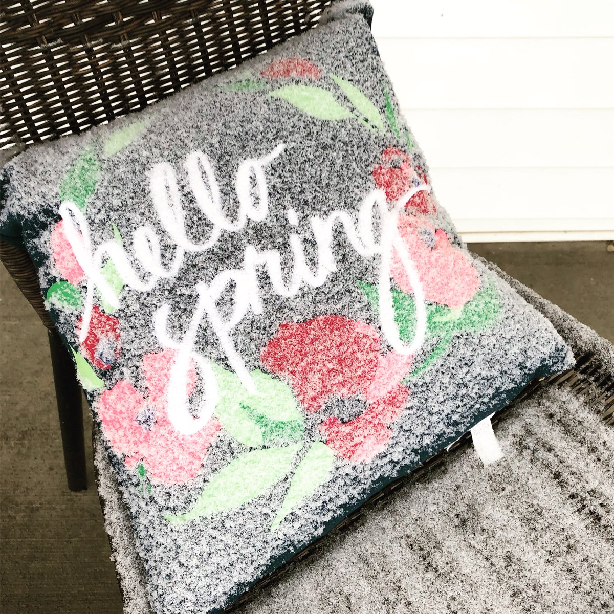 jayolstadtv's tweet image. #MinnesotaSpring