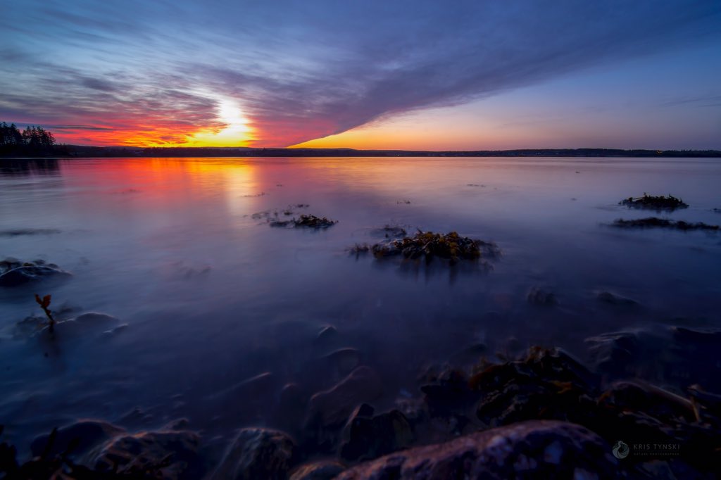 Kris Tynski tweet media