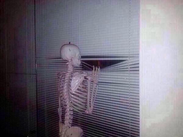 TheTinyAcademic's tweet photo. Awaiting #academic journal decision. https://t.co/0CG6fwfUMP