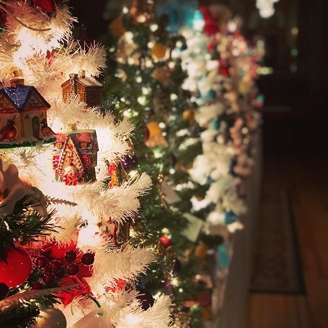 loquaciousbbear's tweet photo. Favorite time of the year! 🎄🎄🎄 #christmas #christmastree #stanleyhotel #colorado #tw https://t.co/AsLfz4t6oF