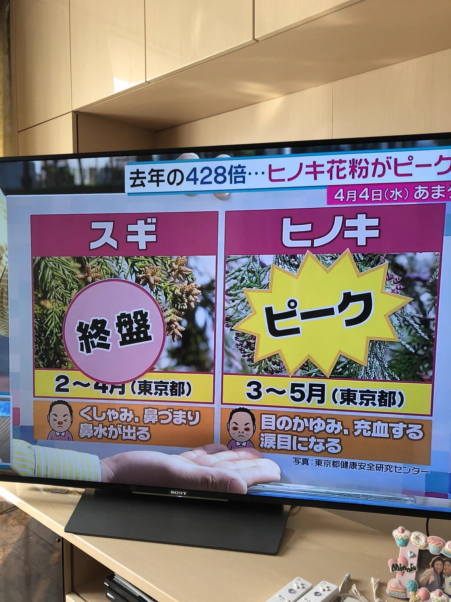 やっとスギ花粉の飛散が終盤に！しかしヒノキ花粉が去年の428倍にｗｗｗ