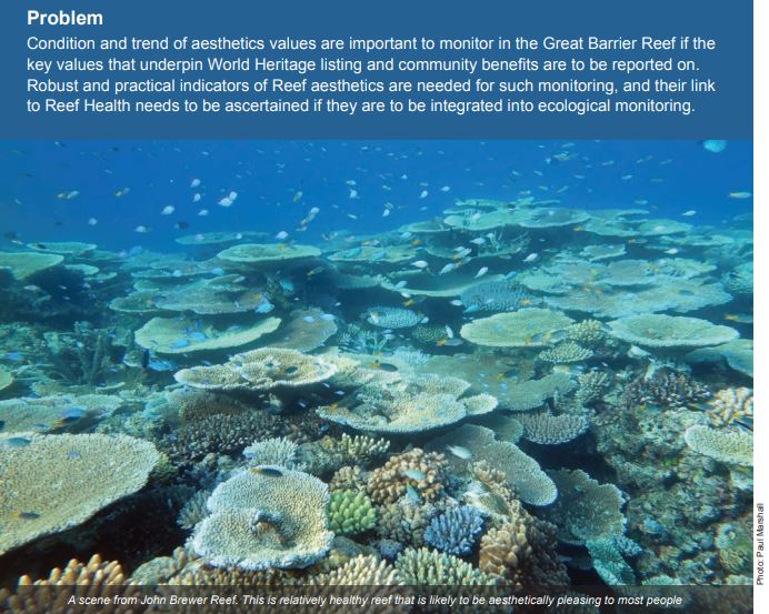 Do people care more about abundant fish life than diverse coral cover on the #GreatBarrierReef? How might this affect management actions? This <a href="/nesptwq/">NESP TWQ Hub</a> project led by Dr Nadine Marshall <a href="/CSIROnews/">CSIRO</a> investigates:
nesptropical.edu.au/wp-content/upl…
#aesthetics #tourism