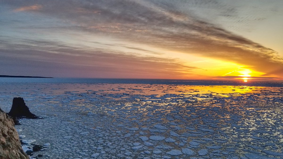 Cape Breton Hiker tweet media
