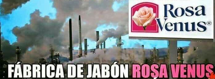 alen_gendrita's tweet photo. #MasCorrienteQue oler a jabón rosa Venus https://t.co/ZWDSBqTCVV