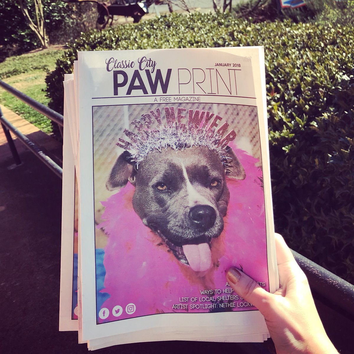 ccpawprint's tweet photo. A big congratulations to June, @athenspets‘s longest pup resident and #classiccitypawprint’s January cover model, on being adopted! 🐾🎈✨🌈 https://t.co/OY2fFYVX43