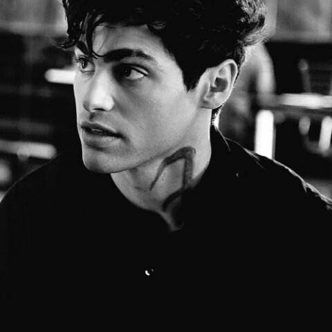⦅ ♡ . ⟅ Bienvenido ⟆ ✧°· ⦆ 

╭❁┊— Alexander Gideon Lightwood.
╭❁┊— Cazadores de Sombras.
╭❁┊— Canon.
╭❁┊— Matthew Daddario.