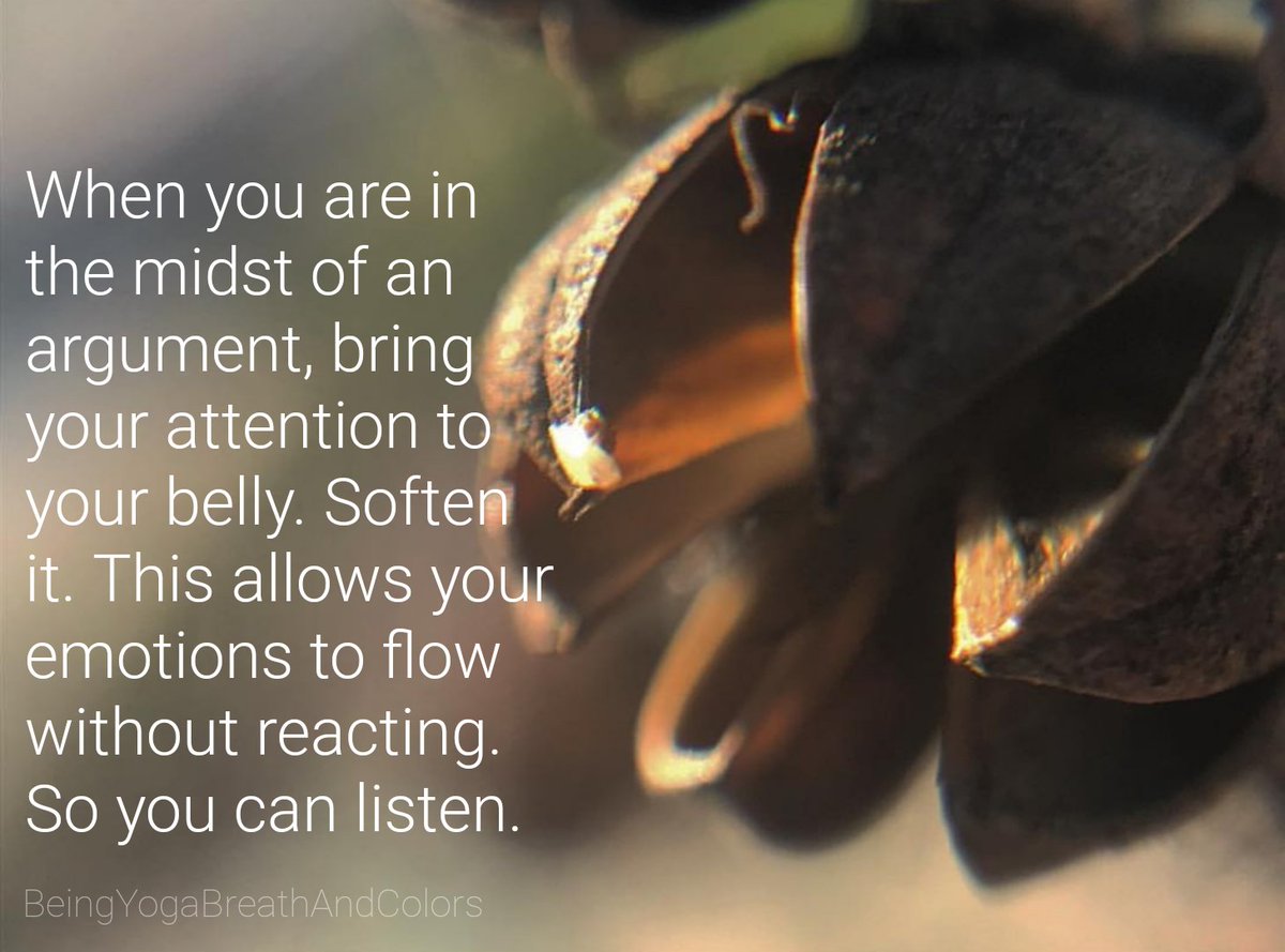BeingYogaBnC's tweet image. #argumenttips #focus #belly #bellypower #listen