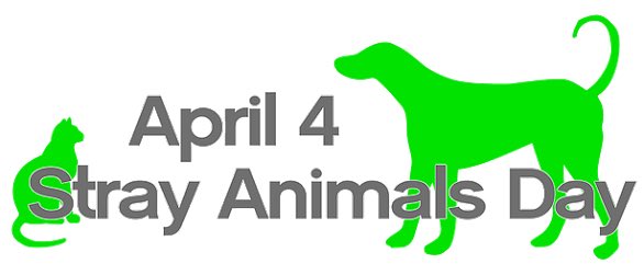 Cihangir Cats tweet media