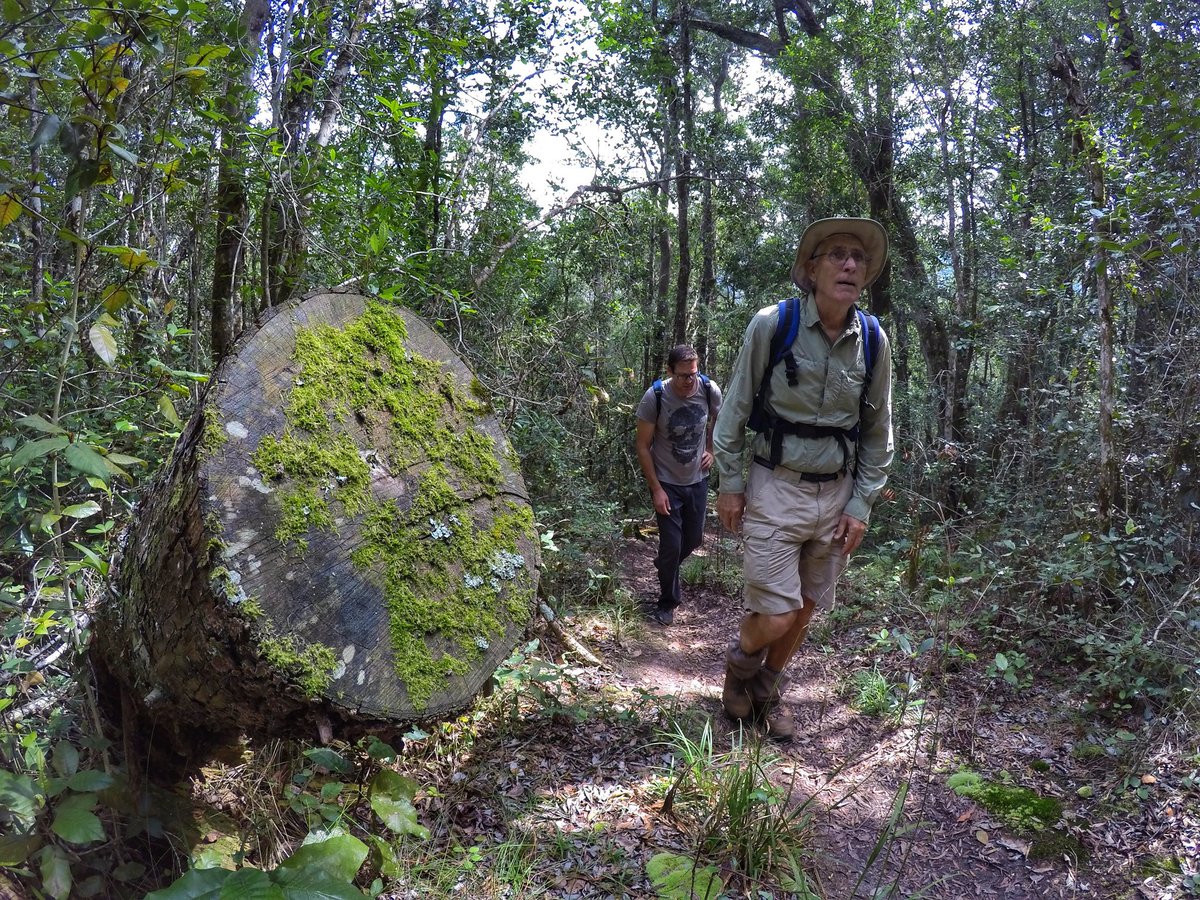 Garden Route Trail tweet media