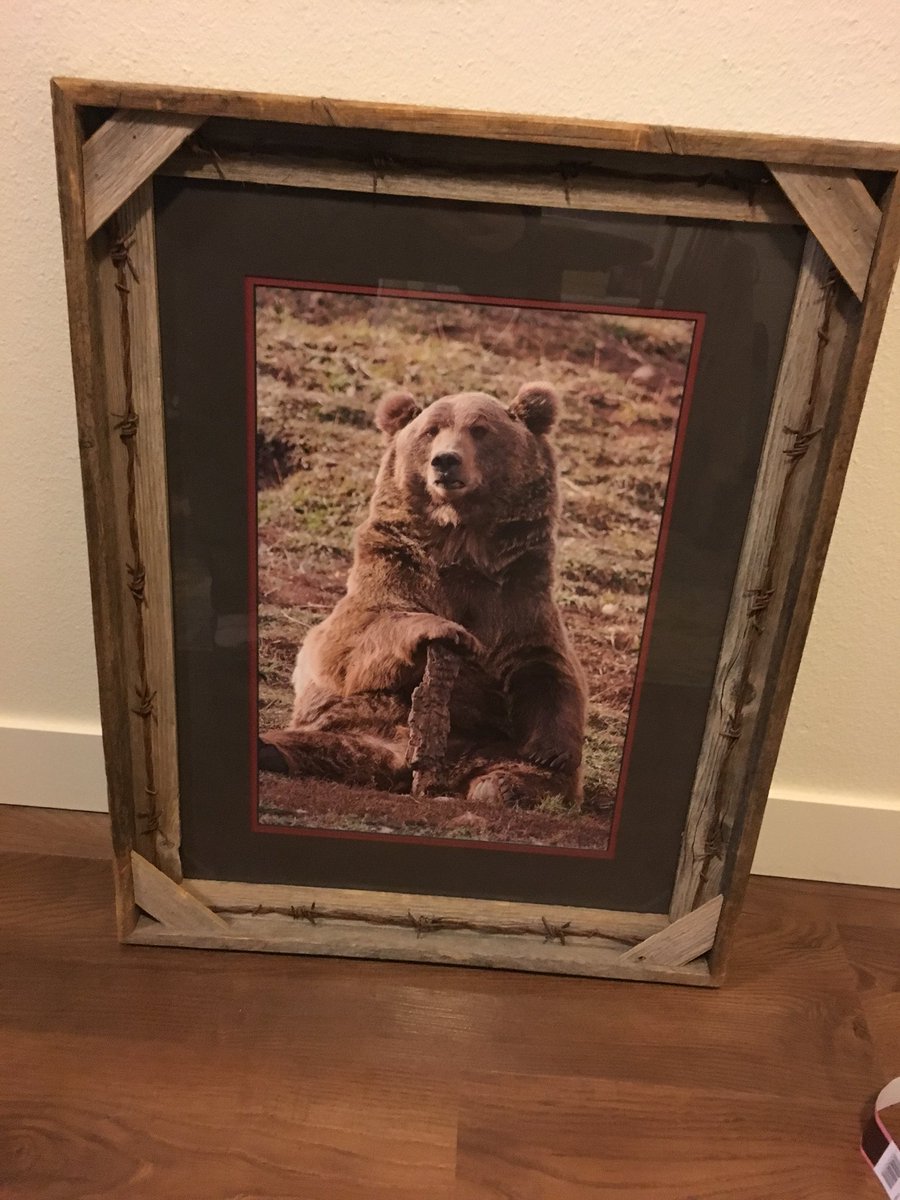 emgracer4's tweet photo. Silent auction win! #grizzlies #cubs #EverybodyIn 🐻 https://t.co/wmP4TCs8Kj