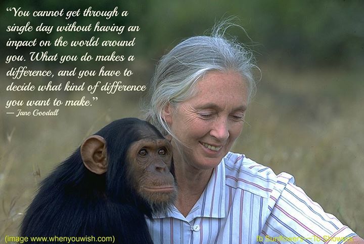Happy Birthday Jane Goodall! An inspiration to me & many other biologists around the world. 