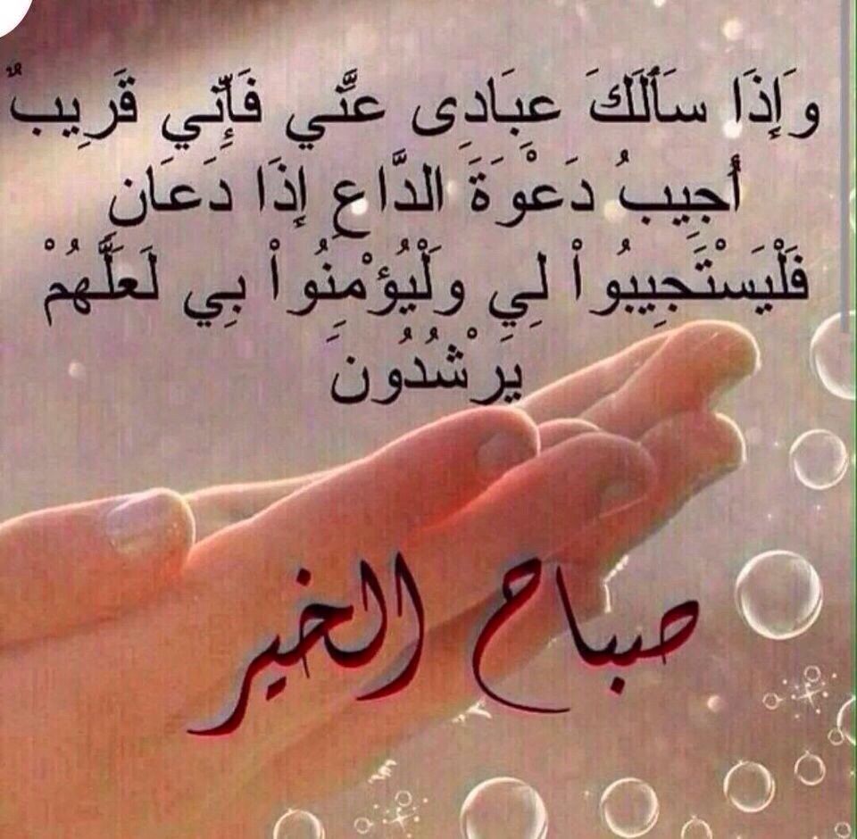 habyss53's tweet photo. أصبحت أشهد أن  الله  يهديني
ووحده جلّ رب العرش يكفيني
أنا الفقير ولكنّي الغنيّ  بهِ 
هـو المؤمّل في دنيـا وفي ديـنِ https://t.co/isdLHjz9Ij