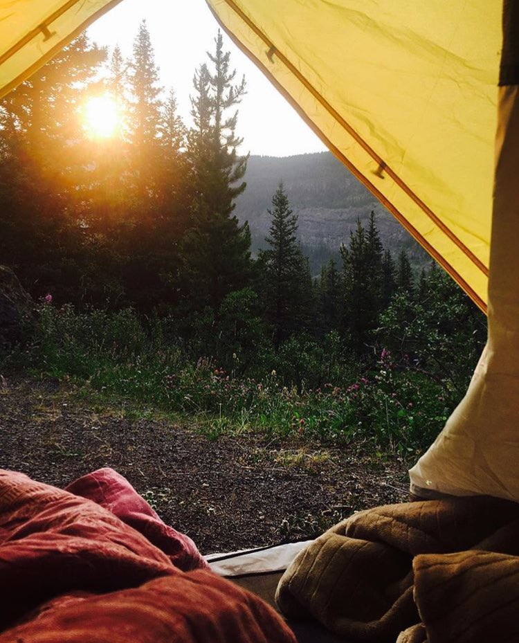 ChanntellePaul's tweet photo. ππ #campvibes #berglaketrail #murtlelake #BritishColumbia https://t.co/k5DH7198KK