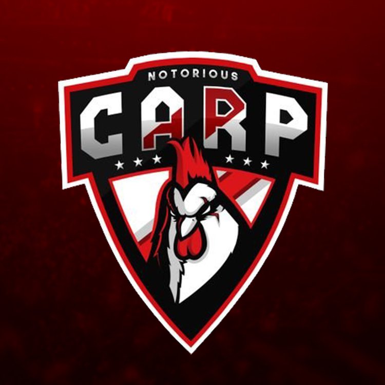 Cup Arg🇦🇷 tweet media