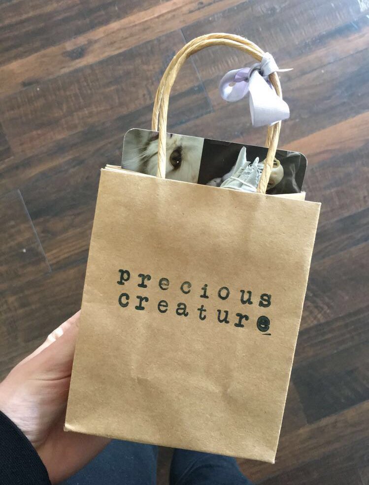 miss_angeliquew's tweet photo. Wilma has started her journey to becoming a beautiful articulated skeleton that Iβm going to paint and keep displayed in glass on my mantle forever β¨π¦ππ€πππΌ @preciouscreature #preciouscreature https://t.co/1eTuLtlBUc