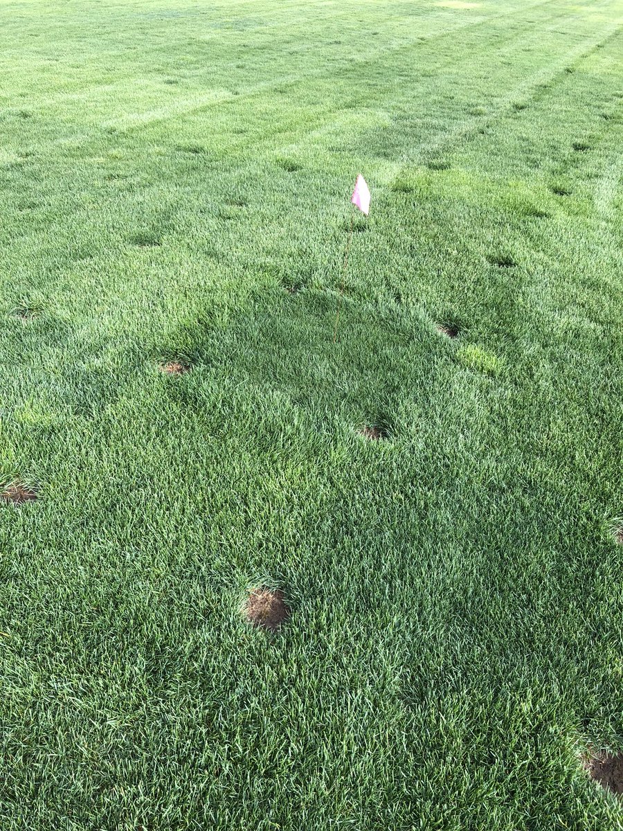 Austin Fricker tweet media