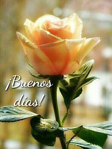 barlondres's tweet photo. @JaviYMar Bonjour @mariafbreslauer  @montmaty_ @silvia112014 @ranasilvia63 @antoniobanderas https://t.co/hvcWkEcgL4