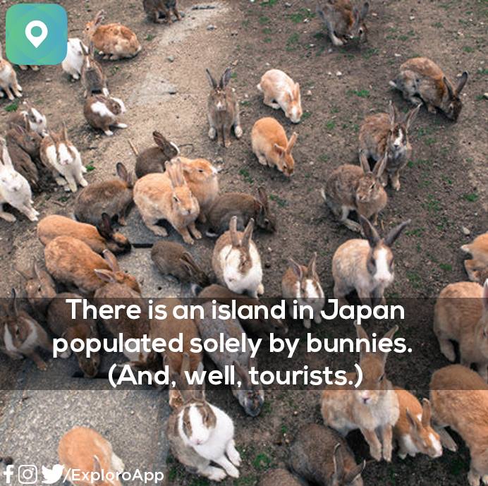 ExploroApp's tweet image. Time is money, a saying undoubtedly true. Exploro understands and values your precious time, making your daily life convenient like you could have never imagined. Now connect with all your favorite places, people and organizations Exploro. Link: goo.gl/ypU5F4