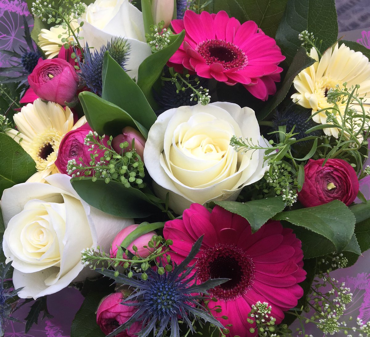 Pick A Posy On Twitter Good Morning Everyone Happy Wednesday